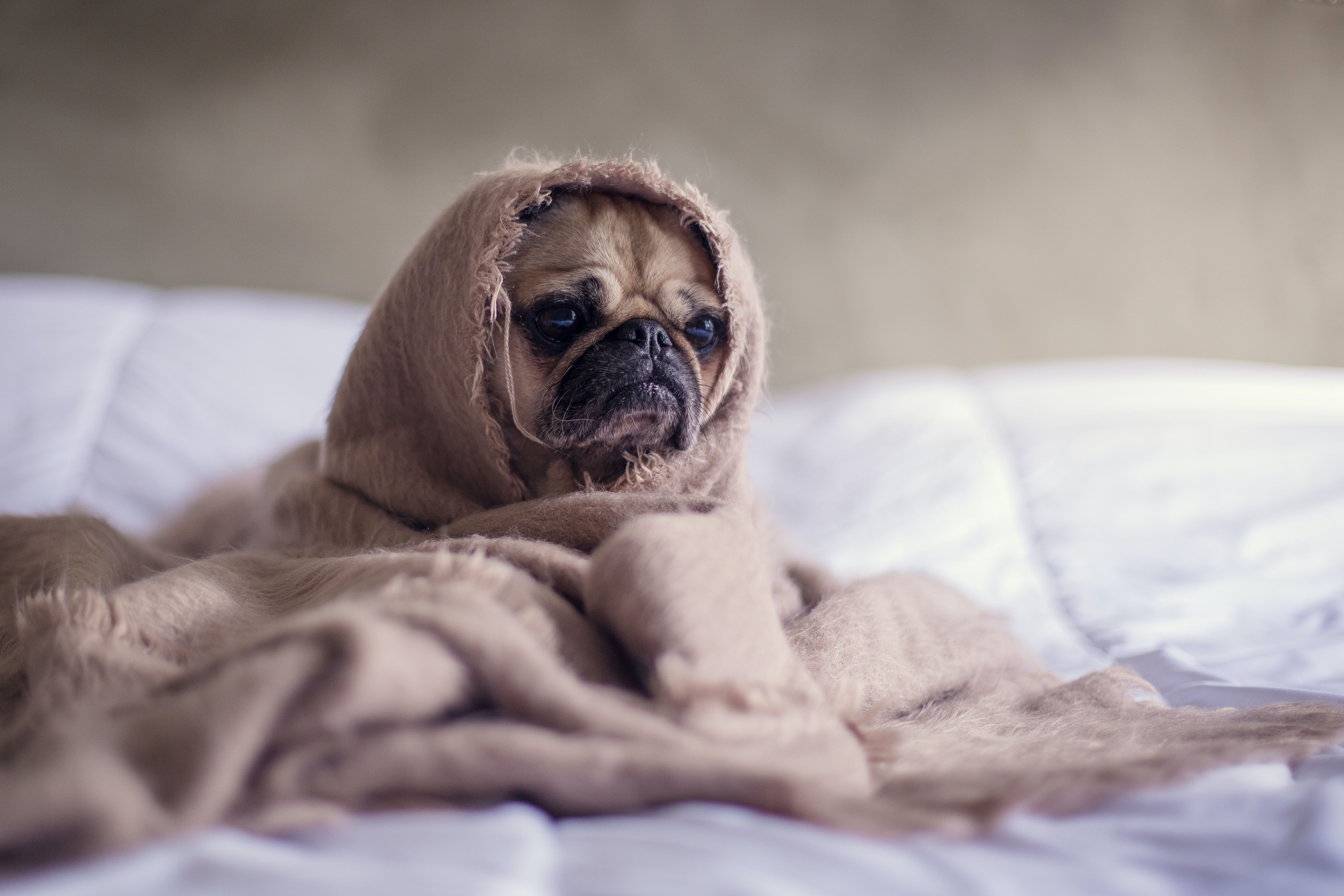 Das veränderte Licht im Winter begünstigt Winterblues und Frühjahrsmüdigkeit. Das hat damit zu tun, wie wir die Welt mit unseren Augen wahrnehmen. Ein Überbleibsel des Ur-Menschen?