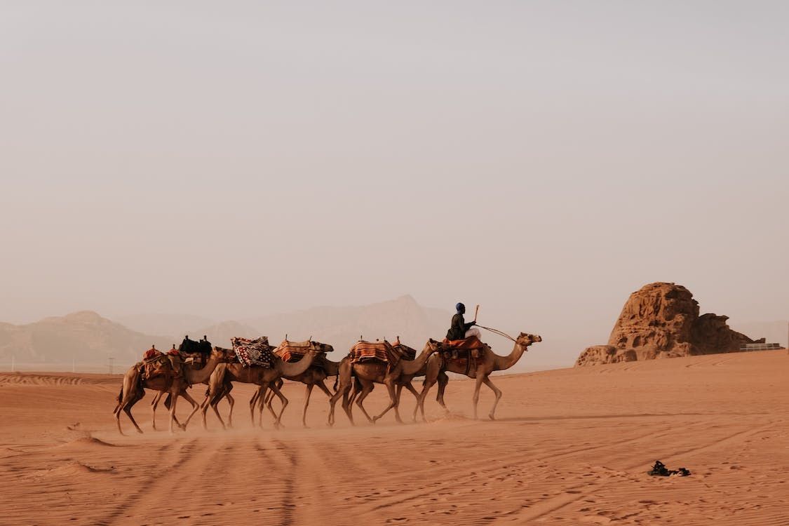 Bewährte Schlafgeheimnisse der Wüstenvölker: Die Tuareg und Beduinen nutzen Wind und Wasser, um Ruhe in der sengenden Hitze Nordafrikas zu finden.